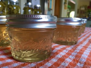 how-to-make-jelly